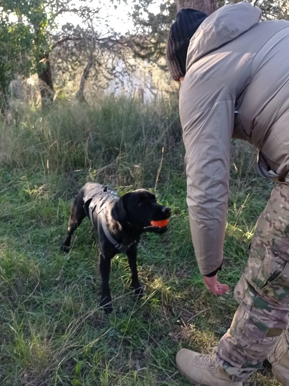 Un ranger si allena con il suo cane K-9 specializzato nelle operazioni antibracconaggio.